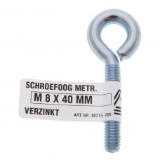 SCHROEFOOG METR. VERZINKT M 6X60 MM