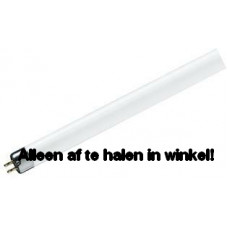 PHILIPS TL LAMP/BUIS 6W/33 - 640 21CM - LAMPEN