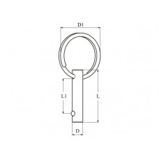 FASTPIN MET RING 5MM 25 MM - BORGPEN MET KOGEL