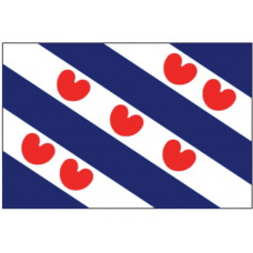 FRIESLAND VLAG 100X150CM FRIESE VLAG