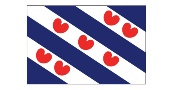 Friese vlag sokken maat 35-41 - Friese Producten