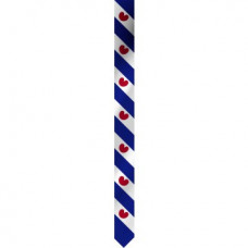 WIMPEL FRIESLAND 30X300CM (MAST 6 METER)